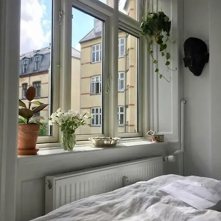 Homy In The Greenest Part Of